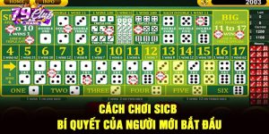 Cách Chơi Sicbo – Bí Quyết Của Người Mới Bắt Đầu