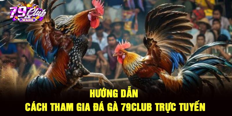 Hướng dẫn cách tham gia đá gà 79Club trực tuyến